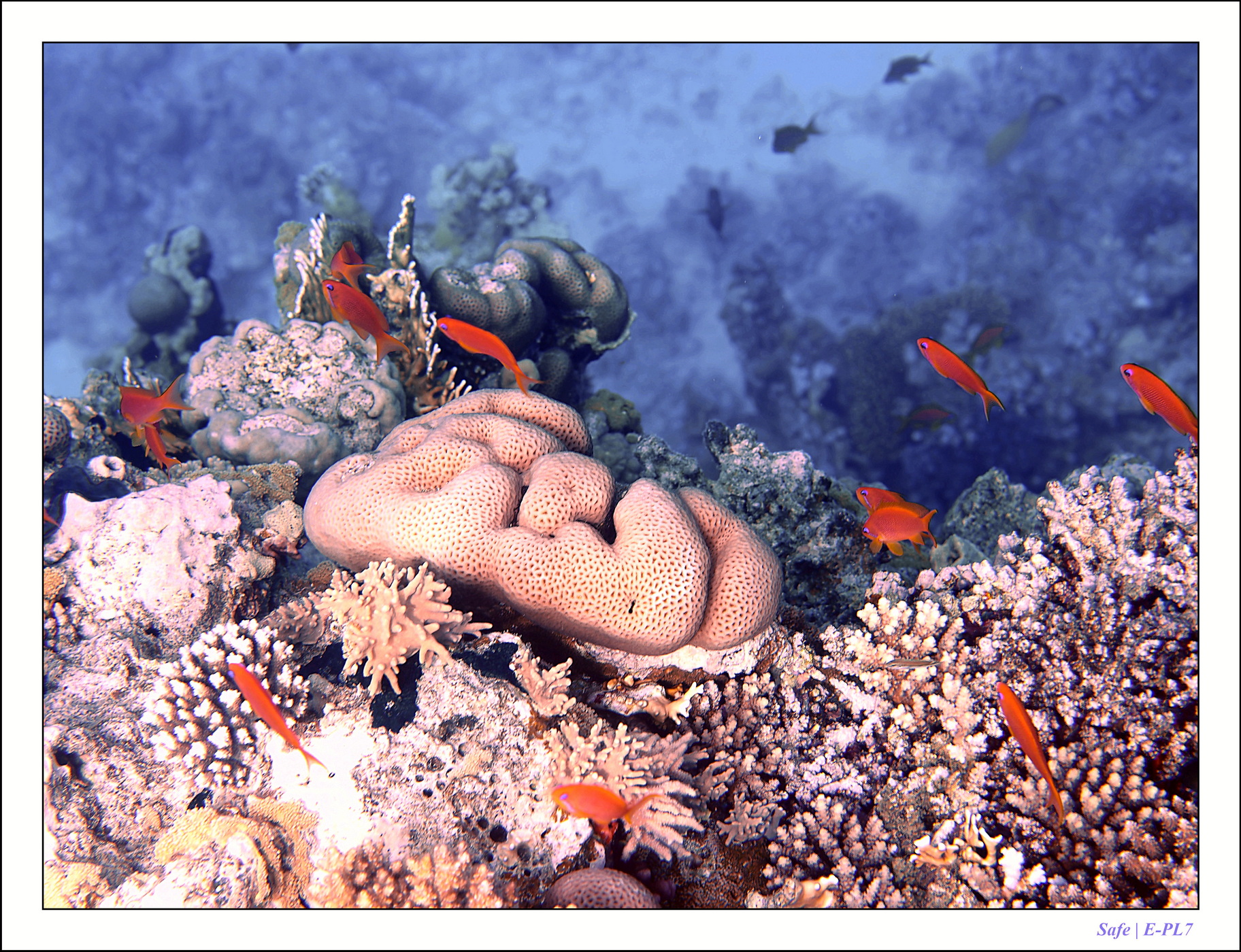 2023 - 03 - Charm El Sheikh - 18